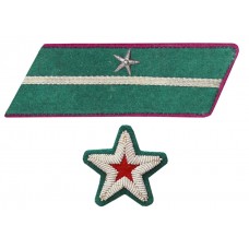 СТАРШИЙ ПОЛИТРУК, ВОЕНВРАЧ 3-го ранга, ВОЕНВЕТВРАЧ 3-го ранга, ВОЕННЫЙ ЮРИСТ 3-го РАНГА, петлицы и нарукавные знаки обр.1935/36 г.